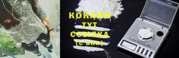 каннабис Богданович