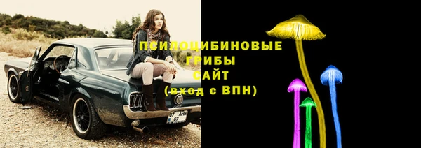 мдма Белокуриха