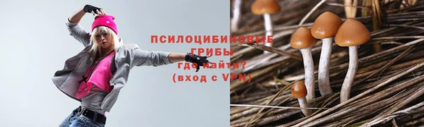 mdpv Богородск