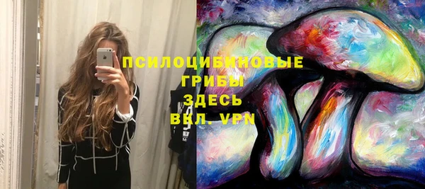 тгк Беломорск