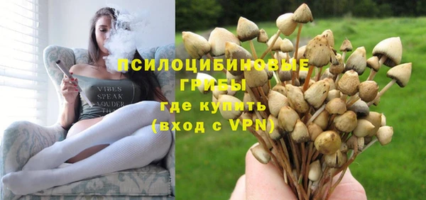не бодяженный Богородицк