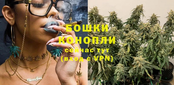каннабис Богданович